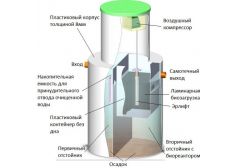 Панда Киота 15